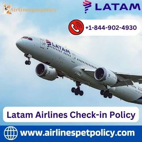 How can i check-in my latam flight?