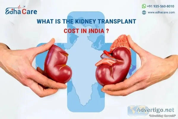 Affordable kidney transplant cost in india: quality care within 