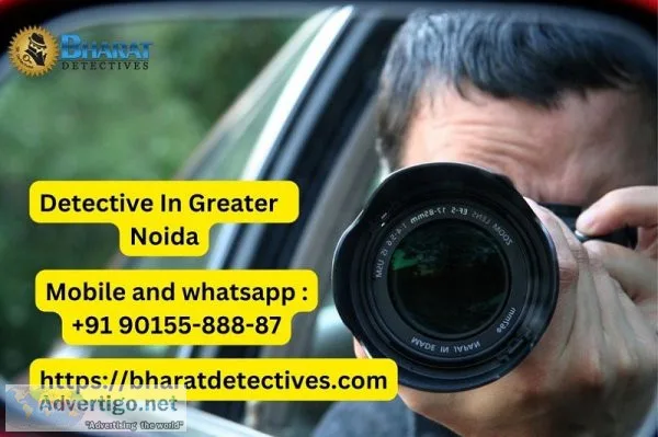 Professional detective service in greater noida
