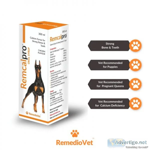 Buy dog calcium supplements online: ensure your pet s health eas
