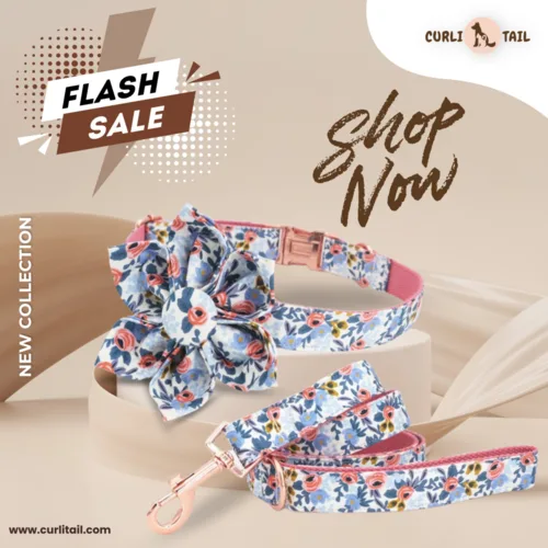 Exquisite floral dog collar | girl dog collar with bow | curlita