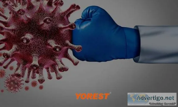 Increase immunity, build your immunity, improve immune system