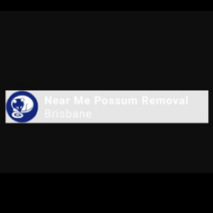 Near me possum removal brisbane