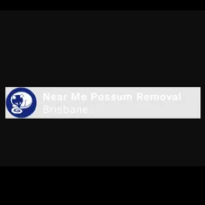 Near me possum removal brisbane
