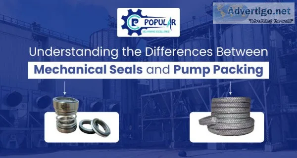 Understanding the differences between mechanical seals and pump 