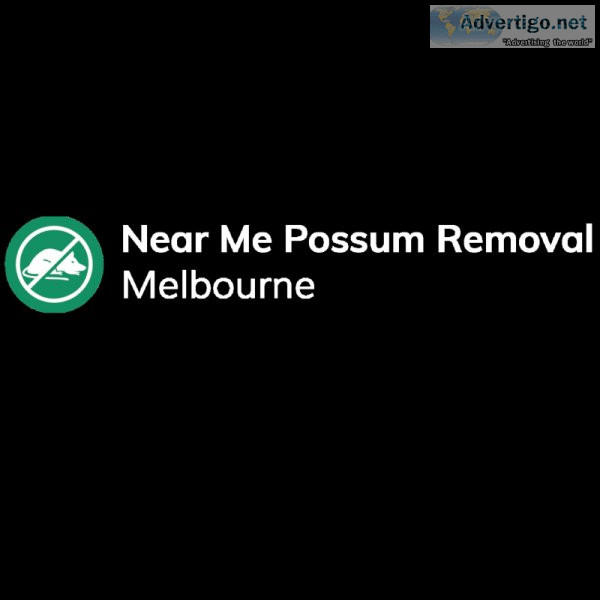 quality possum removal services