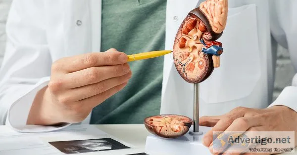 Best kidney doctor to cure kidney stone