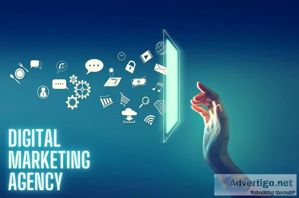 Best digital marketing agency in delhi | wall communication