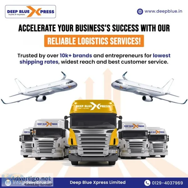 Worldwide shipping services for seamless cargo transport