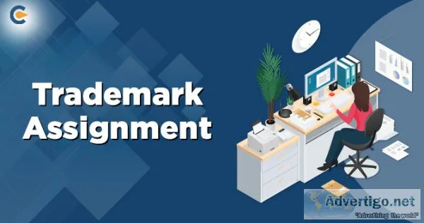 Assignment help at low price