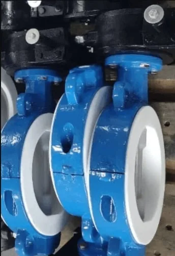 Wafer butterfly valve manufacturer in india