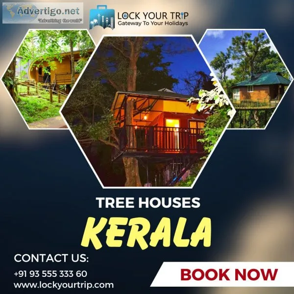 Delightful tree house resorts in kerala for staggering regular p