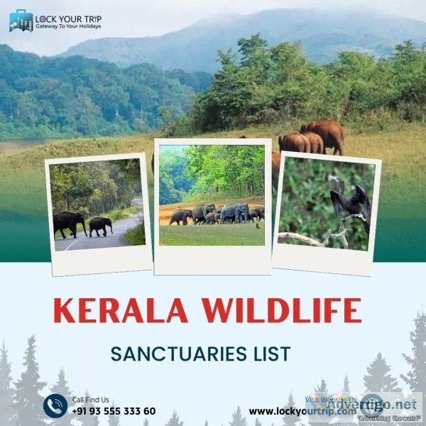 Natural life asylums in kerala that exhibit south india s colorf