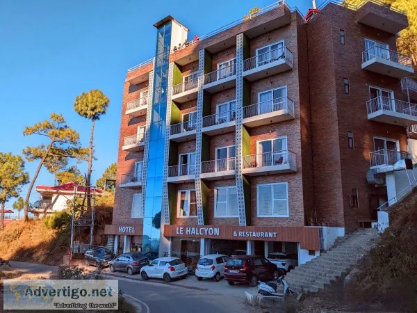 Top 10 best hotels in kasauli for family