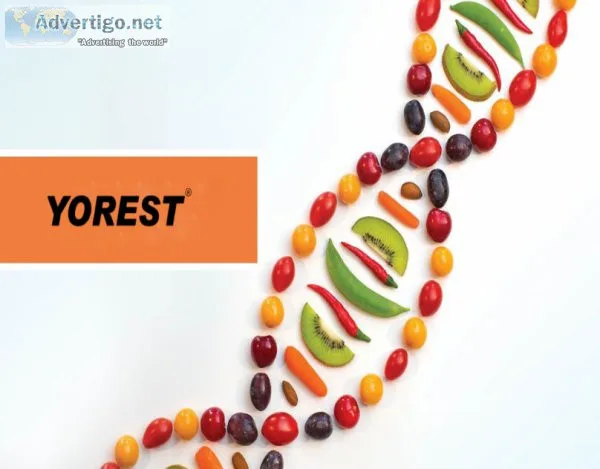 Yorest is a great approach to increase immunity