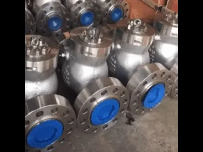 Swing check valve supplier in bahrain