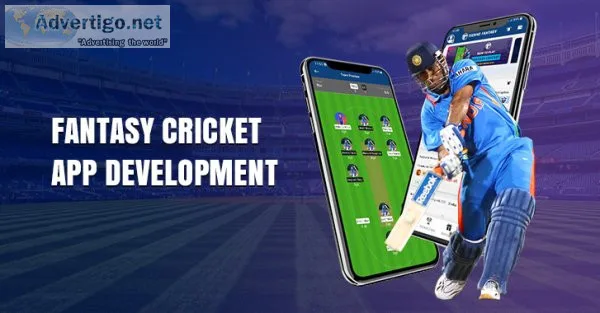 Fantasy cricket app development company - Technoloader