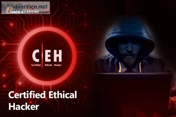 Ethical hacking cyber security training in bangalore