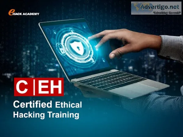 Ethical hacking cyber security training in bangalore