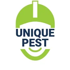 Chennai pest control service
