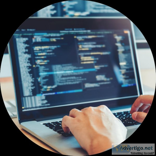 Visa management services