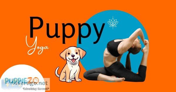 Puppy yoga: get your zen on with puppies puppiezo