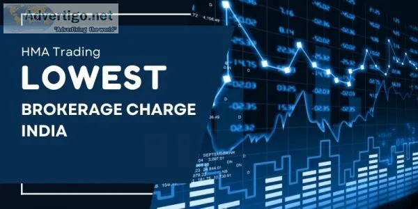 Best stock advisory