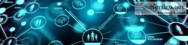 Accelerate your insights with one of the best rapid research ser