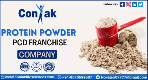 Top protein powder pcd company