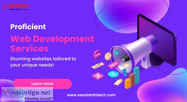 Professional web development services - seasia infotech