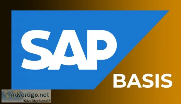 Sap basis online training classes from hyderabad