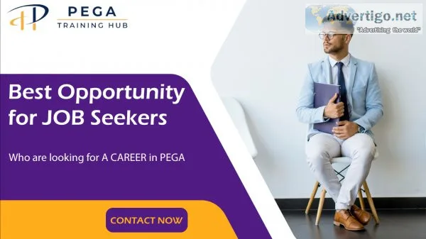 Best pega training institute in ameerpet