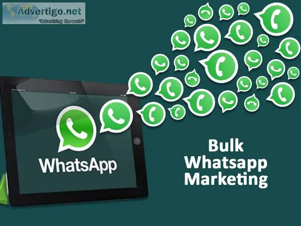 Bulk whatsapp marketing service in bilaspur