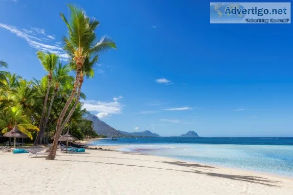 Cheap flights to kingston