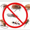 Top rated pest control liberty mo services in usa