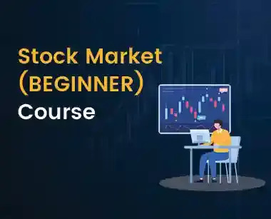 Stock market beginner course