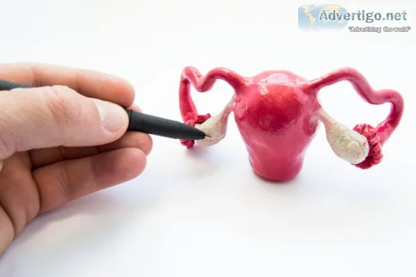 Things to check before choosing an ivf centre