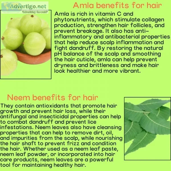 Floraison ayurvedic amla and neem shampoo combo