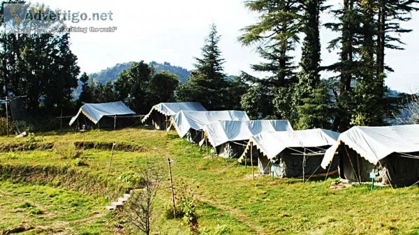 Luxury camping in mukteshwar by indian tour