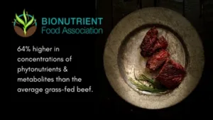 Nutrient dense beef