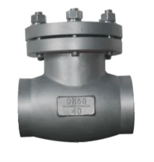 Cryogenic check valve supplier in uae