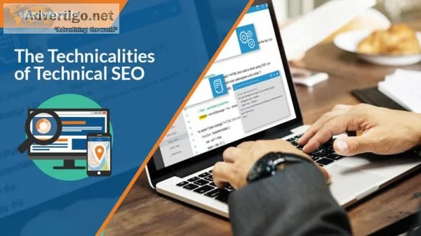 Seo service