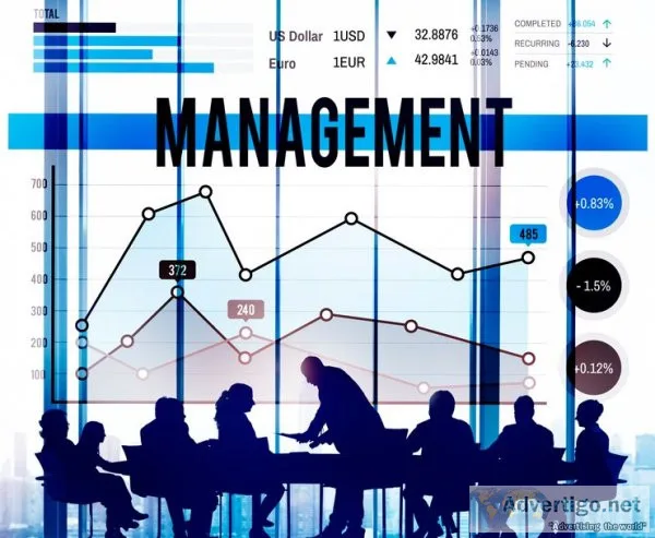 Streamline success with enterprise project management solutions