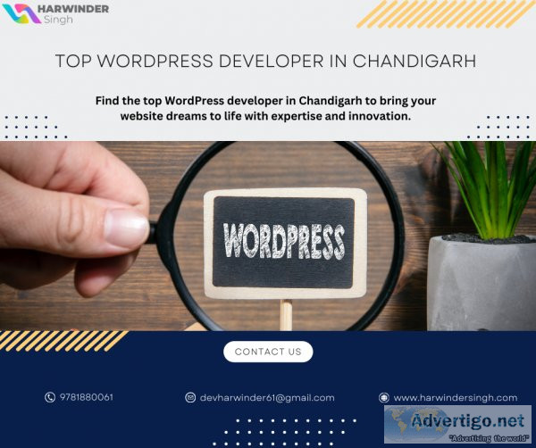 Top wordpress developer in chandigarh