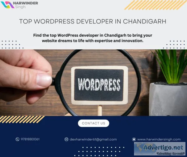 Top wordpress developer in chandigarh