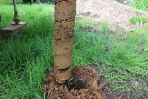 Site classifications mornington peninsula