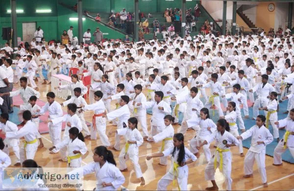 Unleash your inner warrior with nochikan karate international