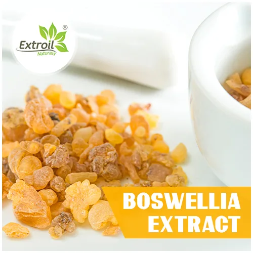 Boswellia serrata extract manufacturer, supplier & exporter