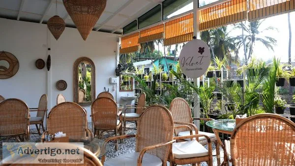 Best resort near morjim beach
