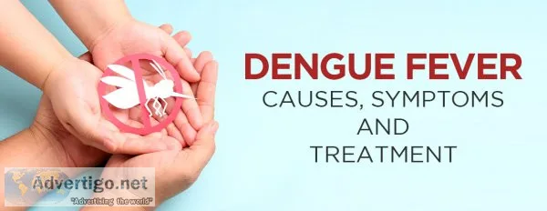 Dengue fever symptoms - dr axico